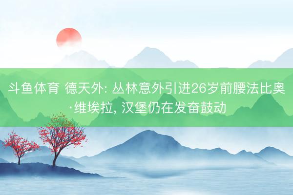 斗鱼体育 德天外: 丛林意外引进26岁前腰法比奥·维埃拉, 汉堡仍在发奋鼓动